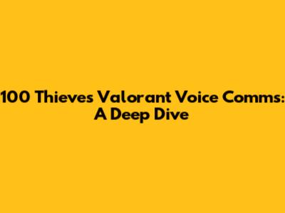 100 Thieves Valorant Voice Comms: A Deep Dive