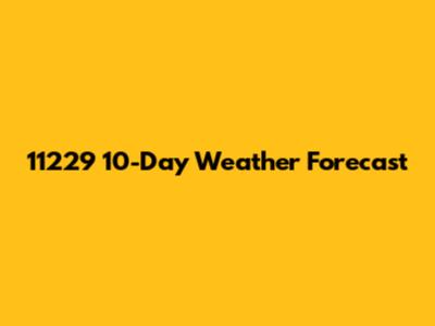 11229 10-Day Weather Forecast