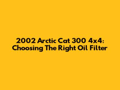 2002 Arctic Cat 300 4x4: Choosing The Right Oil Filter
