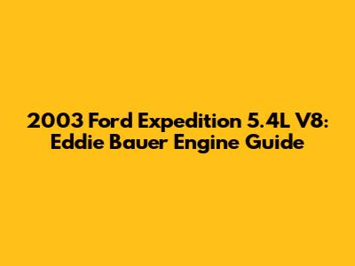 2003 Ford Expedition 5.4L V8: Eddie Bauer Engine Guide