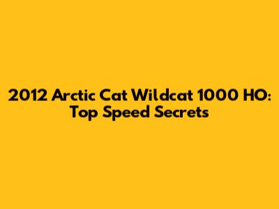2012 Arctic Cat Wildcat 1000 HO: Top Speed Secrets
