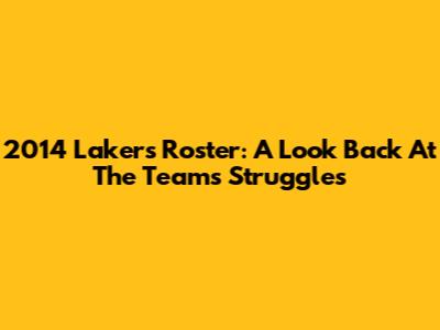2014 Lakers Roster: A Look Back At The Team's Struggles