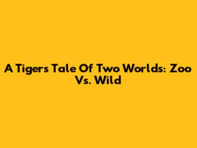 A Tiger's Tale Of Two Worlds: Zoo Vs. Wild