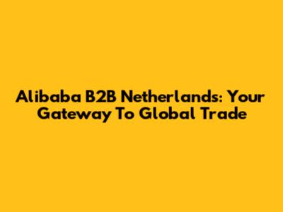 Alibaba B2B Netherlands: Your Gateway To Global Trade