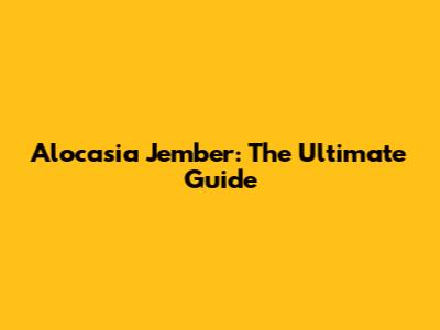 Alocasia Jember: The Ultimate Guide