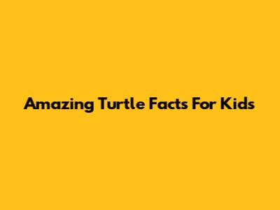 Amazing Turtle Facts For Kids