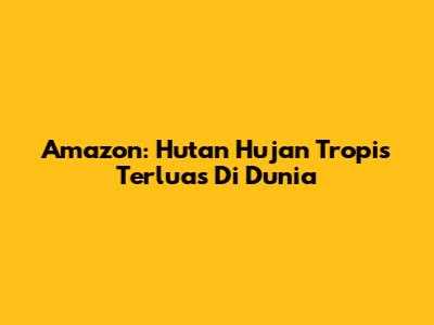 Amazon: Hutan Hujan Tropis Terluas Di Dunia