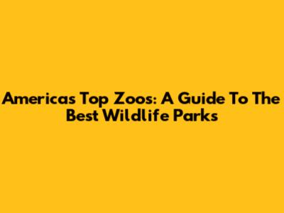 America's Top Zoos: A Guide To The Best Wildlife Parks