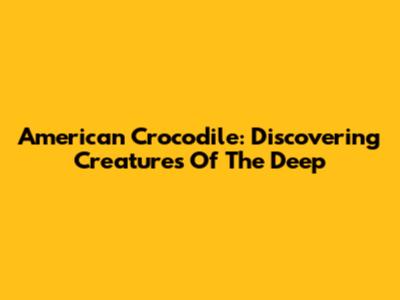 American Crocodile: Discovering Creatures Of The Deep