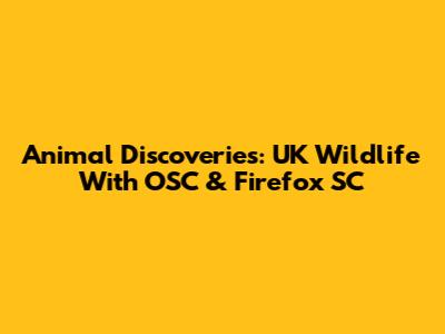 Animal Discoveries: UK Wildlife With OSC & Firefox SC