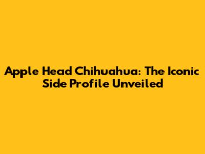 Apple Head Chihuahua: The Iconic Side Profile Unveiled