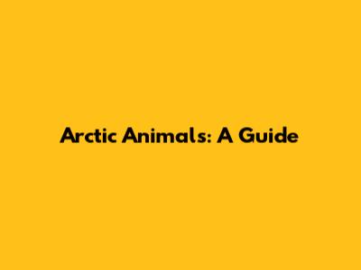 Arctic Animals: A Guide