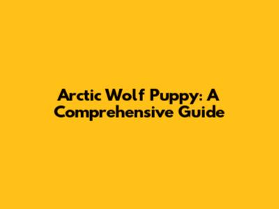 Arctic Wolf Puppy: A Comprehensive Guide