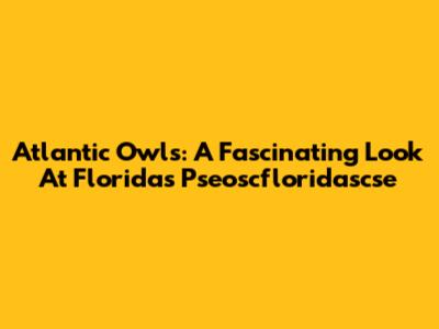 Atlantic Owls: A Fascinating Look At Florida's Pseoscfloridascse