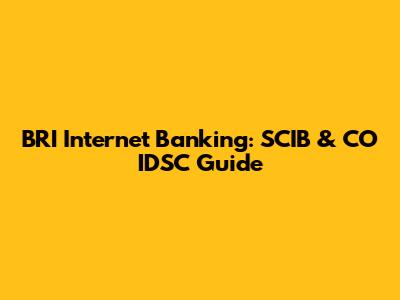 BRI Internet Banking: SCIB & CO IDSC Guide