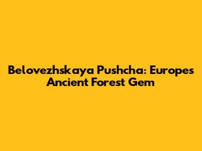 Belovezhskaya Pushcha: Europe's Ancient Forest Gem