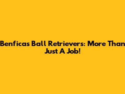 Benfica's Ball Retrievers: More Than Just A Job!