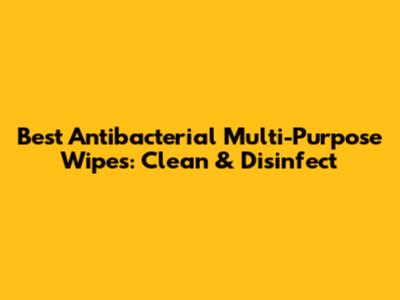 Best Antibacterial Multi-Purpose Wipes: Clean & Disinfect
