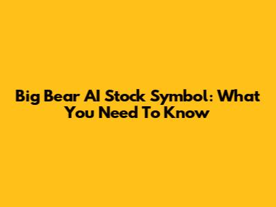 Big Bear AI Stock Symbol: What You Need To Know