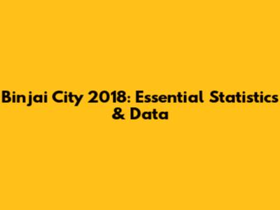 Binjai City 2018: Essential Statistics & Data