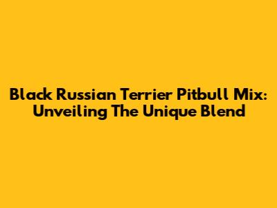 Black Russian Terrier Pitbull Mix: Unveiling The Unique Blend