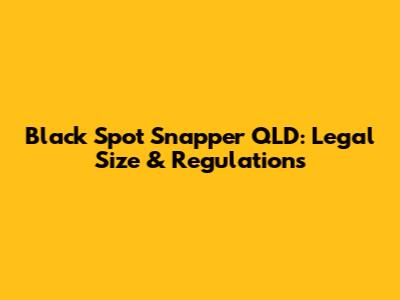 Black Spot Snapper QLD: Legal Size & Regulations
