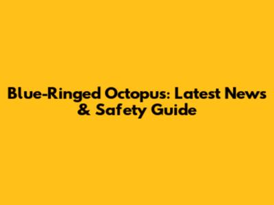 Blue-Ringed Octopus: Latest News & Safety Guide