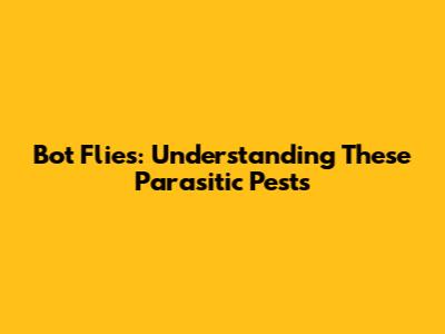 Bot Flies: Understanding These Parasitic Pests