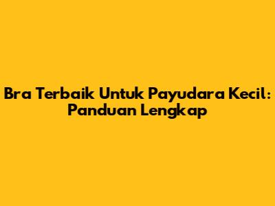 Bra Terbaik Untuk Payudara Kecil: Panduan Lengkap