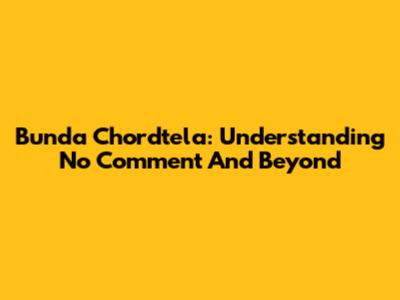 Bunda Chordtela: Understanding 'No Comment' And Beyond