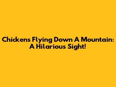 Chickens Flying Down A Mountain: A Hilarious Sight!