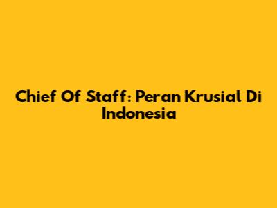 Chief Of Staff: Peran Krusial Di Indonesia