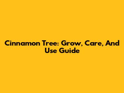 Cinnamon Tree: Grow, Care, And Use Guide