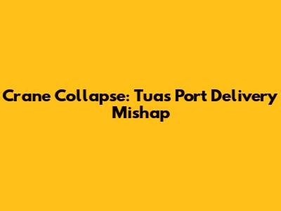 Crane Collapse: Tuas Port Delivery Mishap