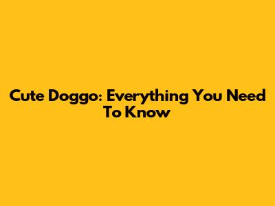 Cute Doggo: Everything You Need To Know