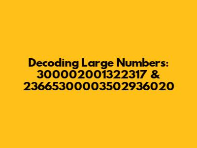 Decoding Large Numbers: 300002001322317 & 23665300003502936020