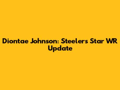 Diontae Johnson: Steelers Star WR Update