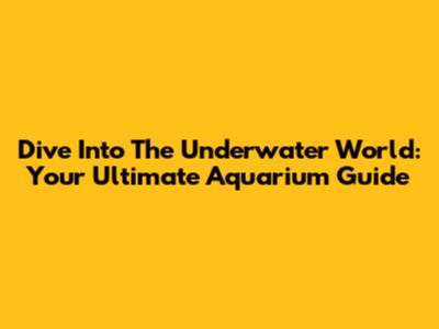 Dive Into The Underwater World: Your Ultimate Aquarium Guide