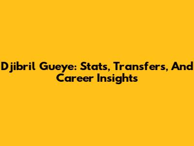 Djibril Gueye: Stats, Transfers, And Career Insights