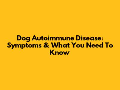 Dog Autoimmune Disease: Symptoms & What You Need To Know
