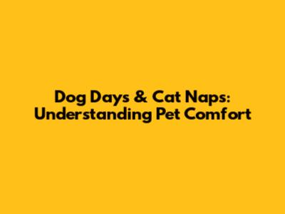 Dog Days & Cat Naps: Understanding Pet Comfort