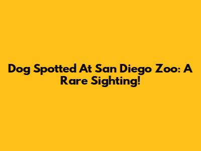 Dog Spotted At San Diego Zoo: A Rare Sighting!