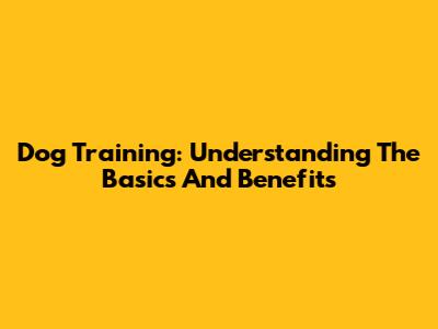 Dog Training: Understanding The Basics And Benefits