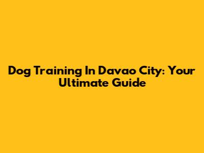 Dog Training In Davao City: Your Ultimate Guide