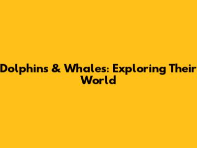 Dolphins & Whales: Exploring Their World