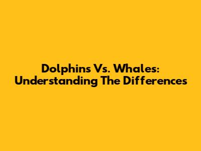 Dolphins Vs. Whales: Understanding The Differences