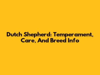 Dutch Shepherd: Temperament, Care, And Breed Info