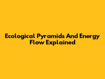 Ecological Pyramids And Energy Flow Explained