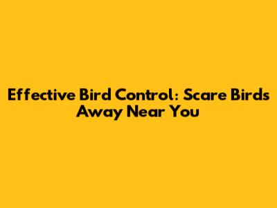 Effective Bird Control: Scare Birds Away Near You