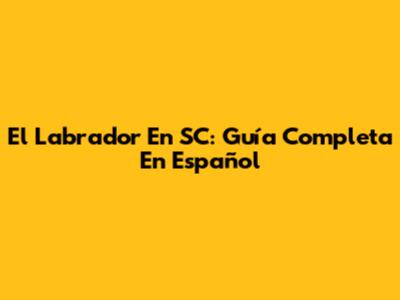 El Labrador En SC: Guía Completa En Español